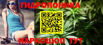 дживик Гатчина