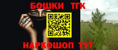 ешки Гай