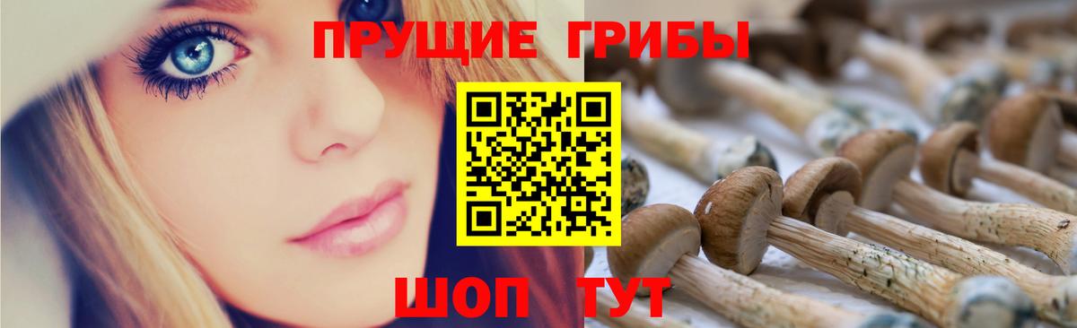 как найти закладки  Вход с VPN  Надым  Галлюциногенные грибы прущие грибы 